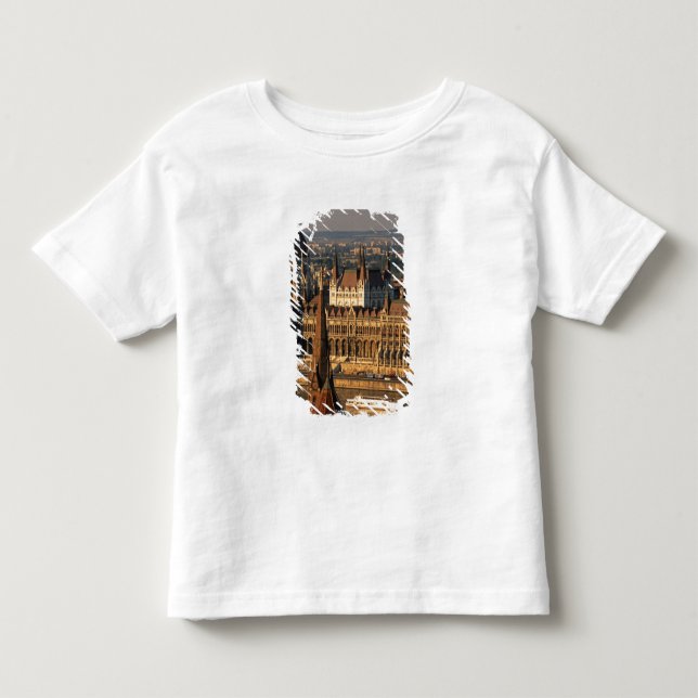 Budapest, Ungern, Donau, Parlamentet Tee (Framsida)