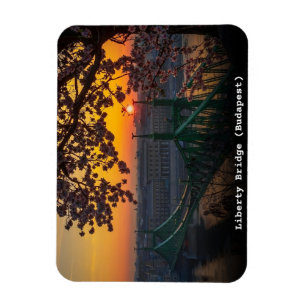 Budapest Ungern vintage Liberty Bridge present Magnet