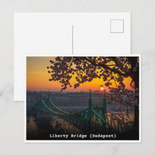 Budapest Ungern vintage Liberty Bridge-presenter Vykort