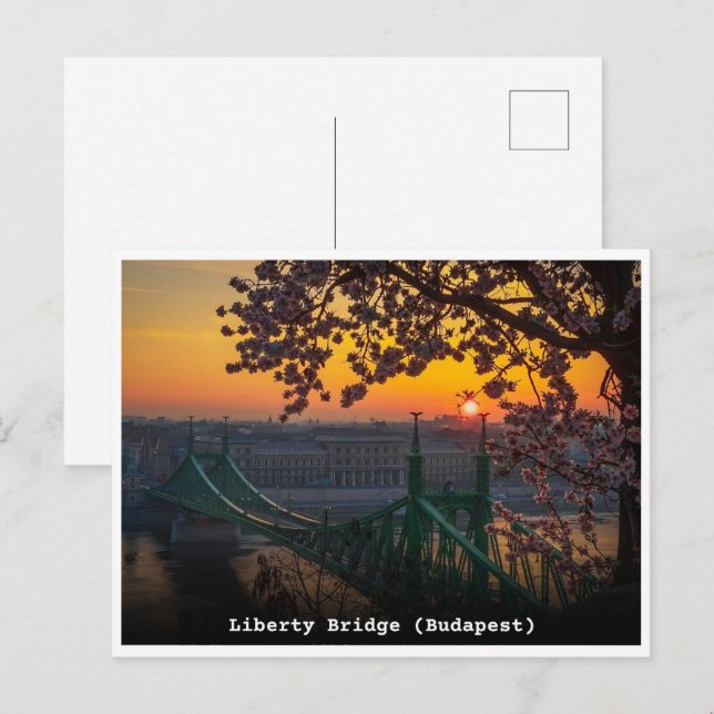 Budapest Ungern vintage Liberty Bridge-presenter Vykort (Fram/baksida)