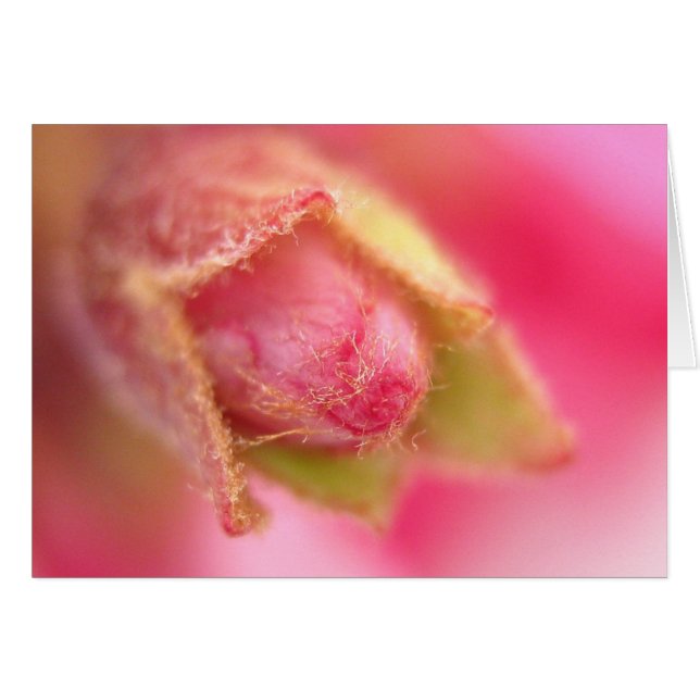 Budationskort Hälsningskort (Framsidan Horizontal)