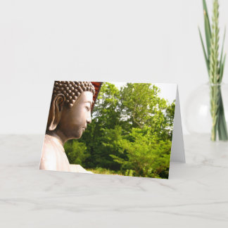 Buddha 3 kort