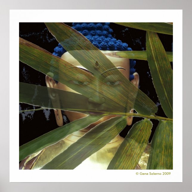 Buddha Bamboo Poster (Framsidan)