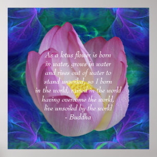 Buddha-citat Lotus blomma Poster