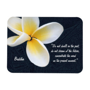 Buddha-citat och Fragipani-blomma/konstmeditation Magnet