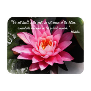 Buddha-citat och Lotus Flower/Nature Meditation Magnet
