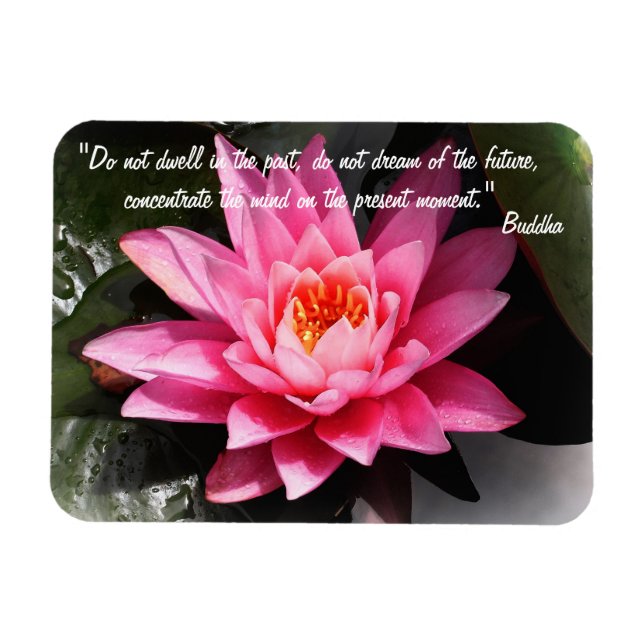 Buddha-citat och Lotus Flower/Nature Meditation Magnet (Horisontell)