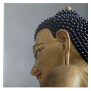 Buddha Dordenma-statyn Kakelplatta