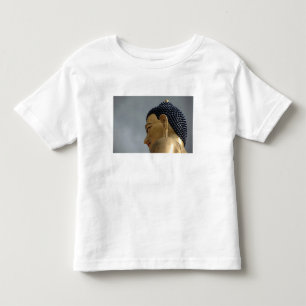 Buddha Dordenma-statyn T-shirt