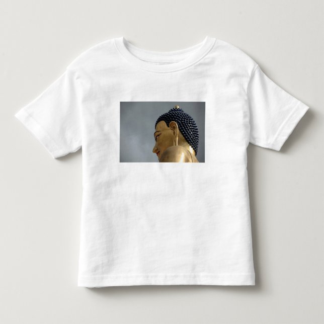 Buddha Dordenma-statyn T-shirt (Framsida)