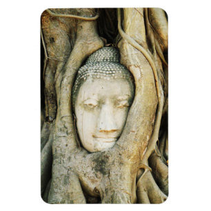 Buddha Head i Fig Träd ... Ayutthaya, Thailand Magnet