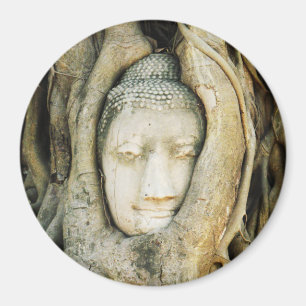 Buddha Head i Fig Träd ... Ayutthaya, Thailand Magnet
