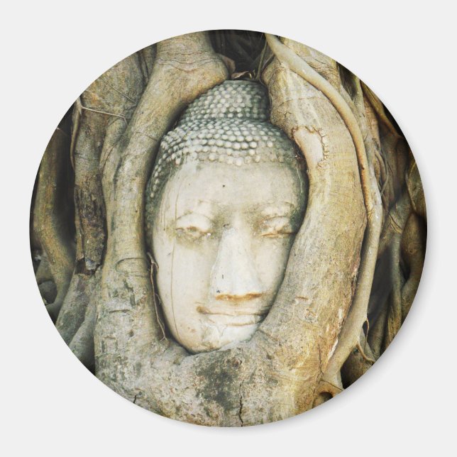 Buddha Head i Fig Träd ... Ayutthaya, Thailand Magnet (Framsidan)