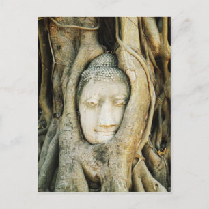 Buddha Head i Fig Träd ... Ayutthaya, Thailand Vykort