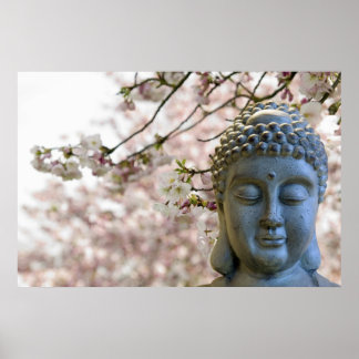 Buddha Head mot Sakura Cherry-Blommar Poster