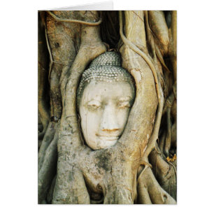 Buddha huvud i Figträd. Ayutthaya Thailand Hälsningskort