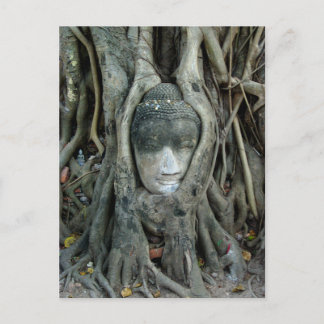 Buddha huvud vykort