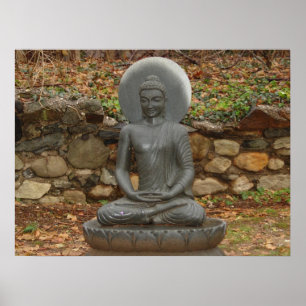 Buddha i regna poster