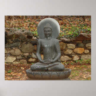 Buddha i regnet poster
