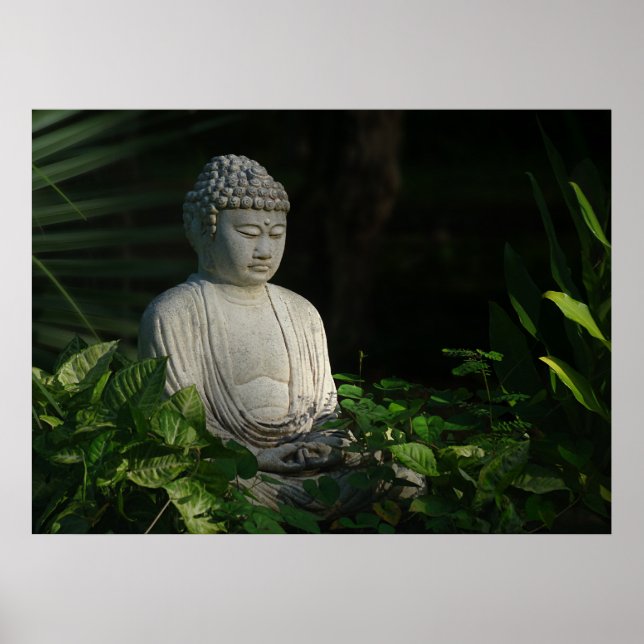 Buddha i tanken poster (Framsidan)