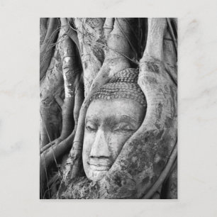 Buddha i Träd Vykort