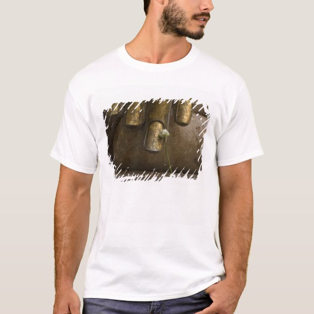 Buddha i Wat Si Chum. Tee Shirt (Framsida)
