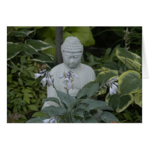 Buddha OBS Kort