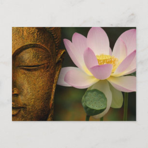 Buddha och blomma vykort