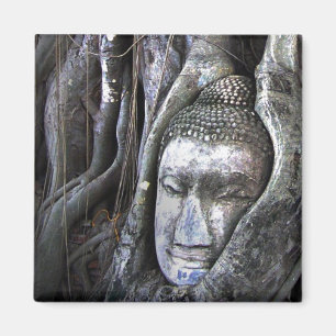 Buddha och Buddhism Thailand-fotografi i Träd Magnet