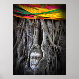 Buddha och Buddhism Thailand-fotografi i Träd Poster