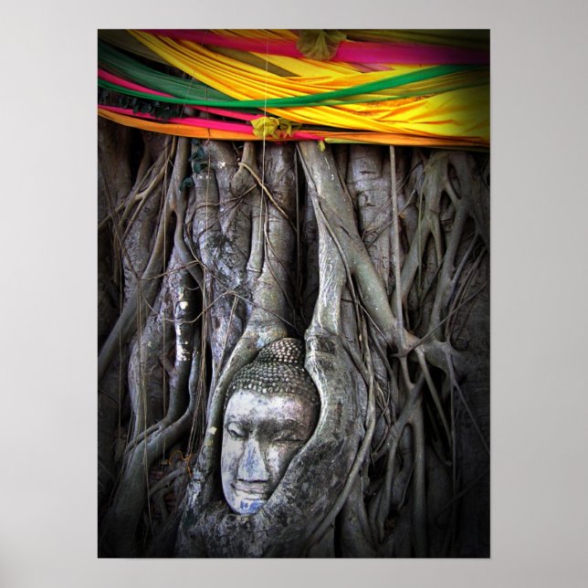 Buddha och Buddhism Thailand-fotografi i Träd Poster (Framsidan)