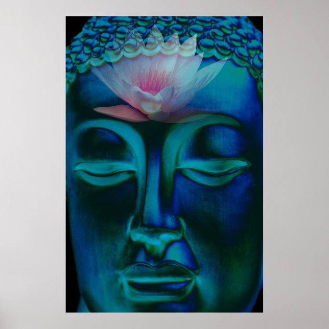 Buddha och Rosa Waterlily Poster (Framsidan)