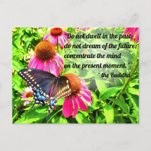 Buddha Quote Black Swallowtail Butterfly Flowers Vykort