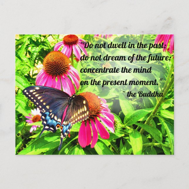 Buddha Quote Black Swallowtail Butterfly Flowers Vykort (Framsida)