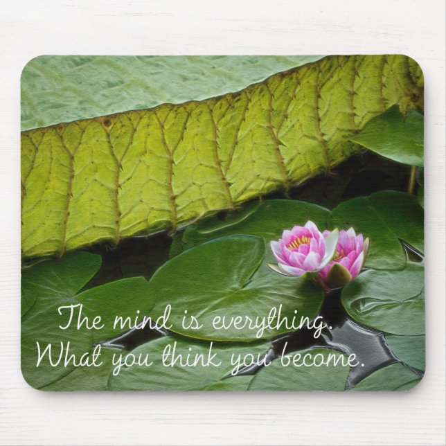 Buddha Quote Waterlily Musmatta (Framsidan)