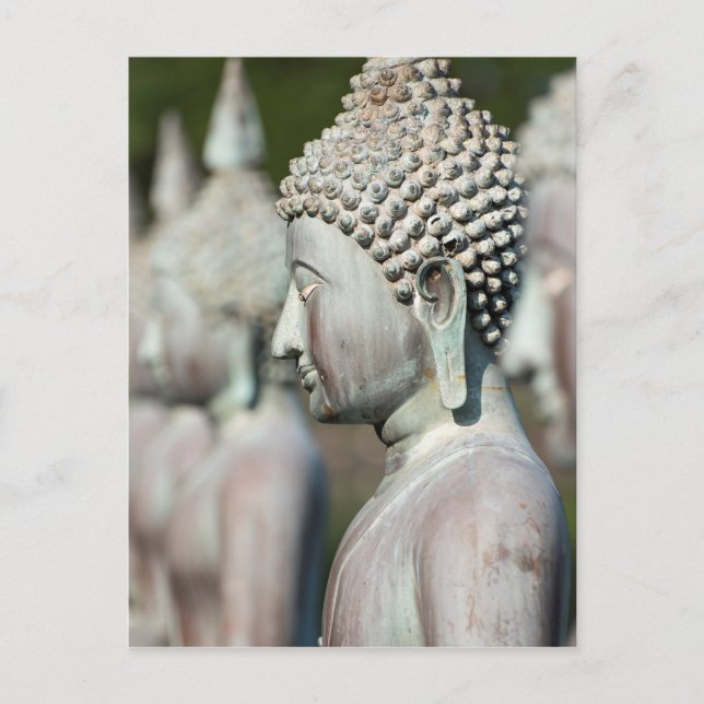 Buddha-statyer, Colombo, Sri Lanka Vykort (Framsida)