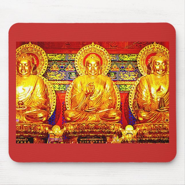 BUDDHA TECH VADDERAR DATOREN MUSMATTA (Framsidan)