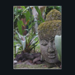 Buddha Vykort<br><div class="desc">Denna buddha staty var i en härlig botanisk trädgård i Kona,  Hawaii.</div>