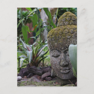 Buddha Vykort