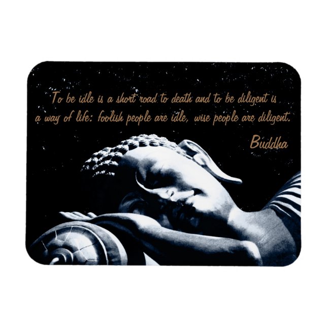 Buddhacitat och sparande buddha / under Stars himl Magnet (Horisontell)