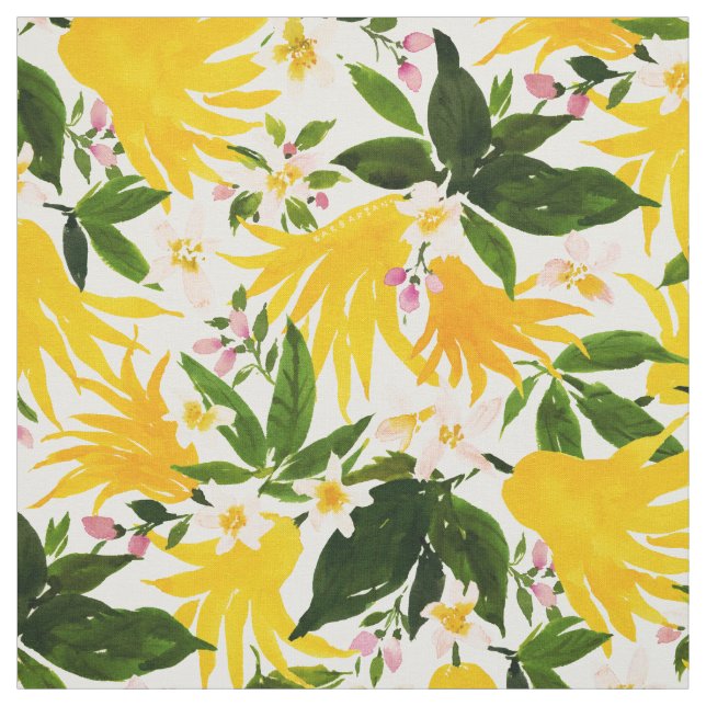 BUDDHAS HAND Citrus Fruit Tyg (Provkarta)