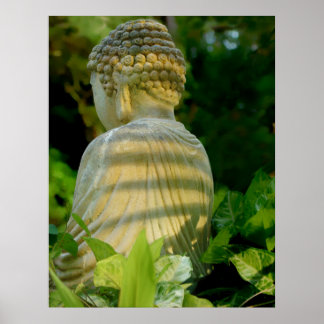 Buddhas rygg poster