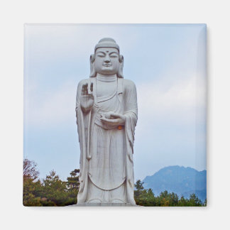 Buddhastaty i Sydkorea, Asien Magnet