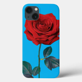 BuddhaToday V1 #13 "Calling All Zen" iPhone 13-fod