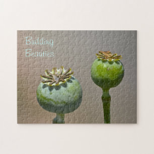 Budding Beauties Puzzle Pussel