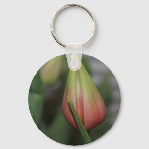 Budding Tulip #2 Nyckelring