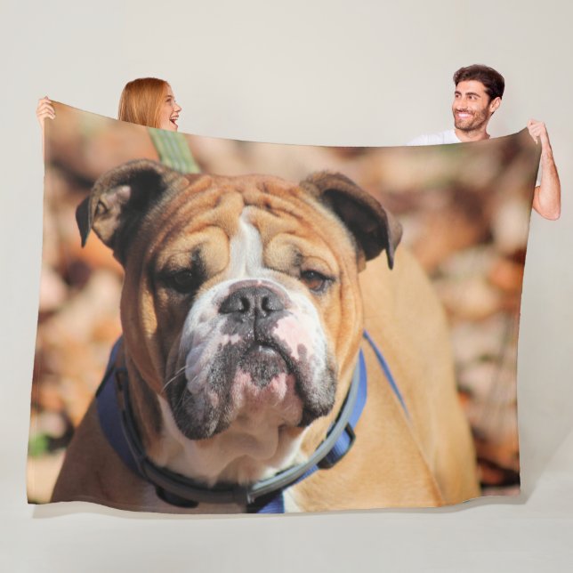Buddy bulldog fleecefilt (På plats)