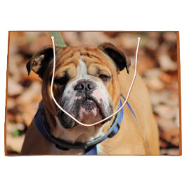 Buddy Bulldog Gift Bag