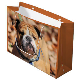 Buddy Bulldog Gift Bag