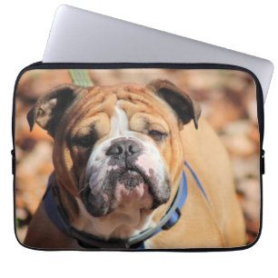 Buddy Bulldog Laptop Fodral